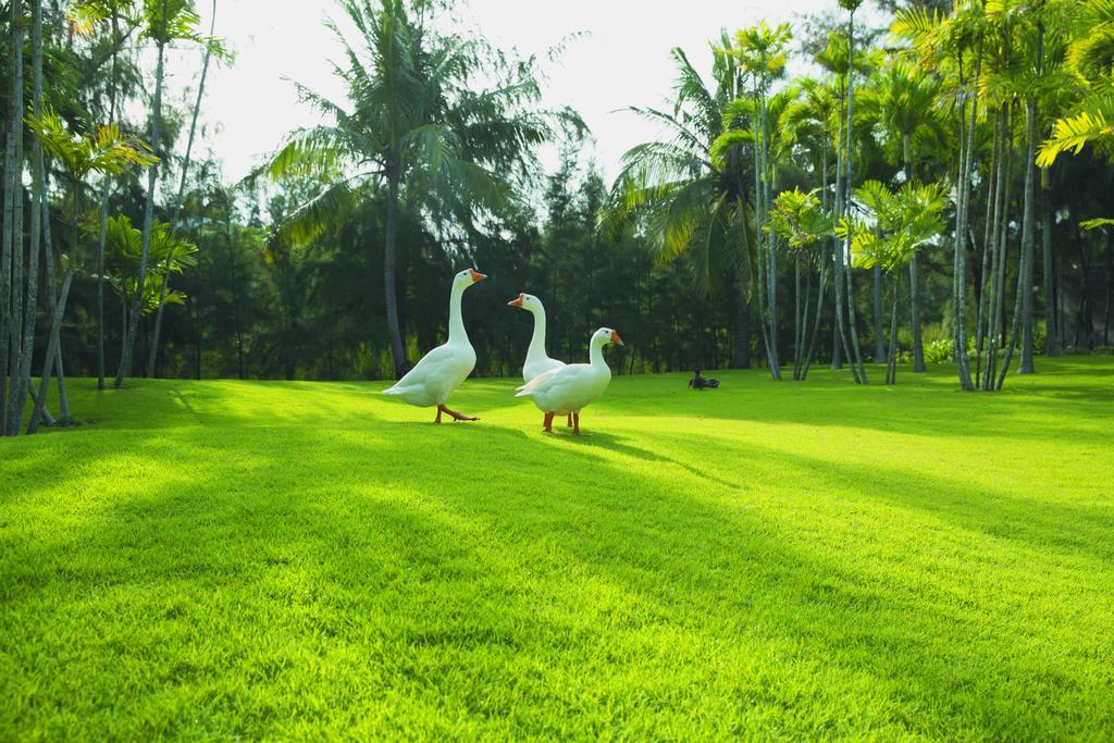 Sanctuary Residential Resort Community Vung Tau Extérieur photo